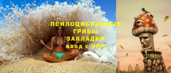не бодяженный Алзамай