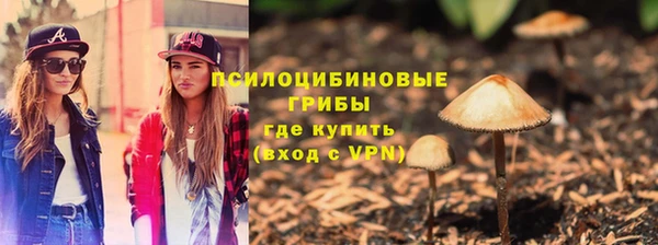 не бодяженный Алзамай
