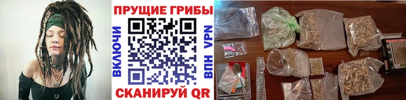 Псилоцибиновые грибы Magic Shrooms  купить наркотик  Каменск-Уральский 